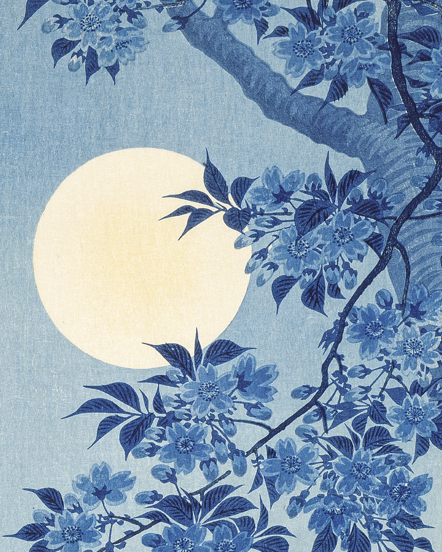 Blomstrende Kirsebær på en Måneskin Nat, Ohara Koson Plakat