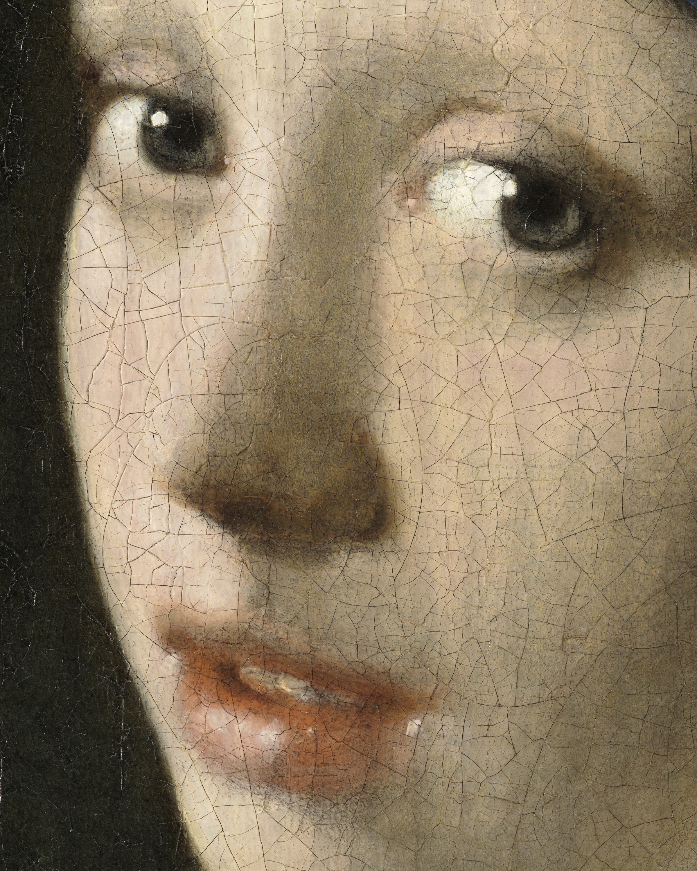 The Face - Vermeer Pige med perleørering detalje poster