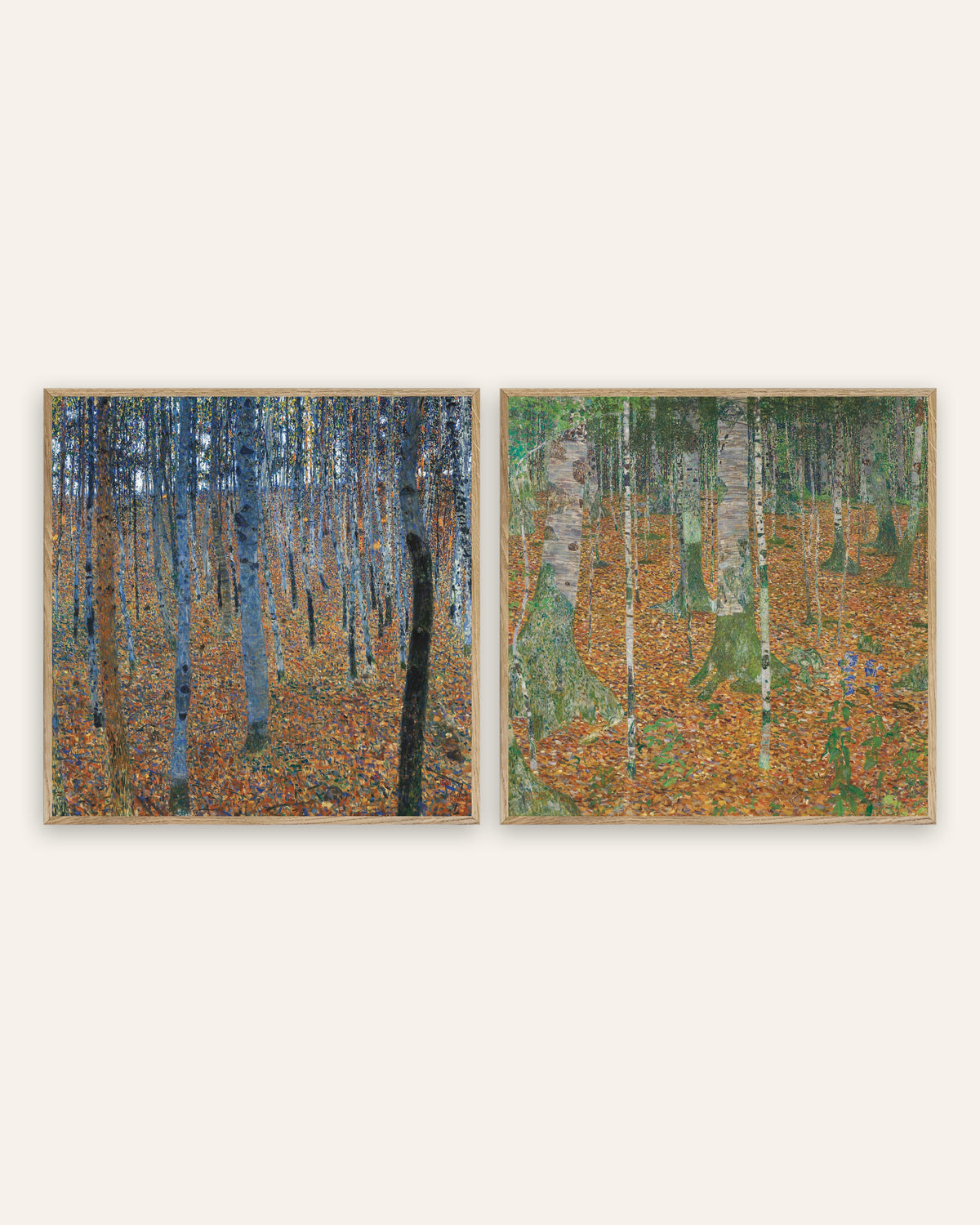 Klimt-plakater, sæt med 2: Bøgeskov I og Birkeskov, i rammer af natureg