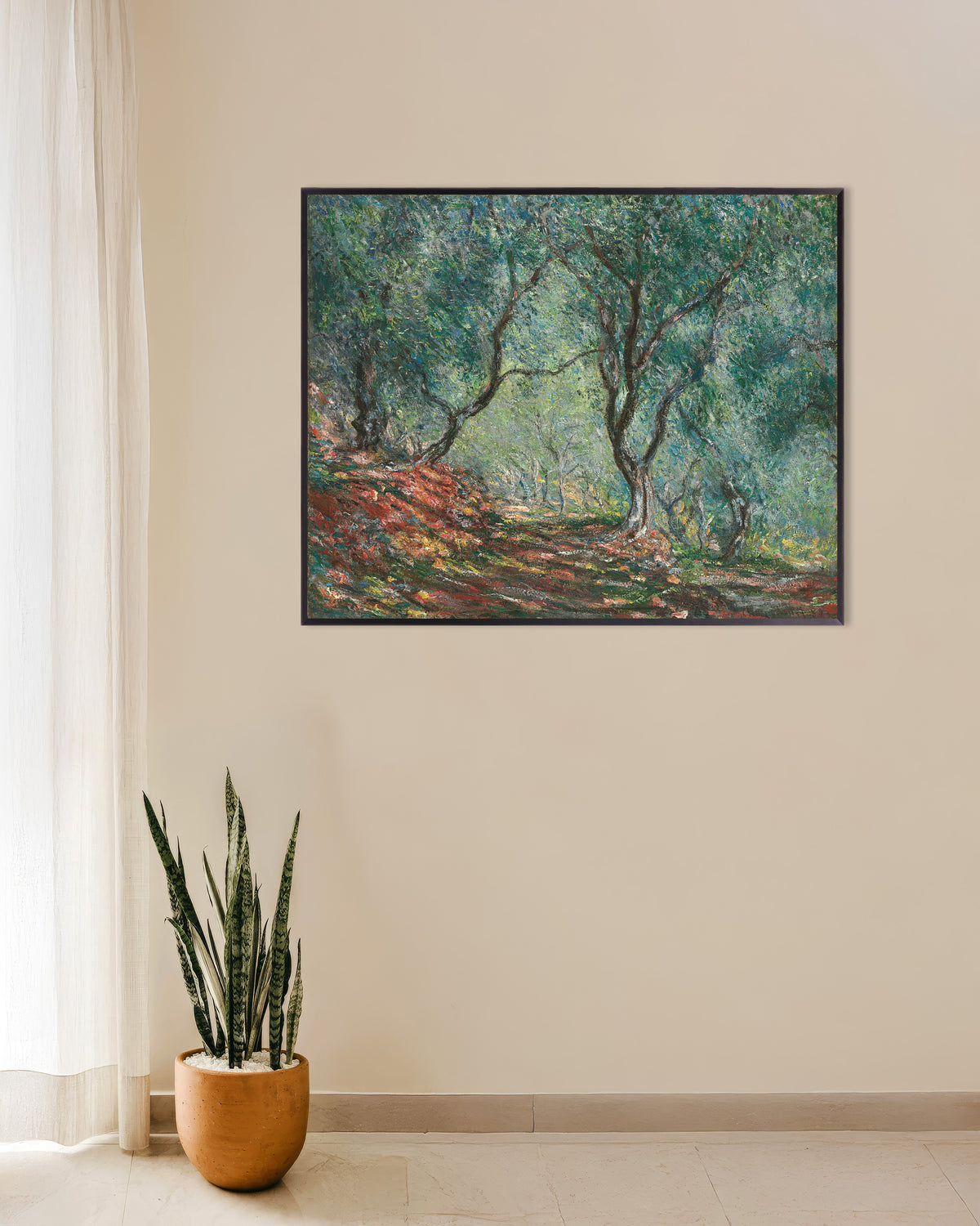 Plakat Olivenlund i Moreno-haven (1884) af Claude Monet med metalramme