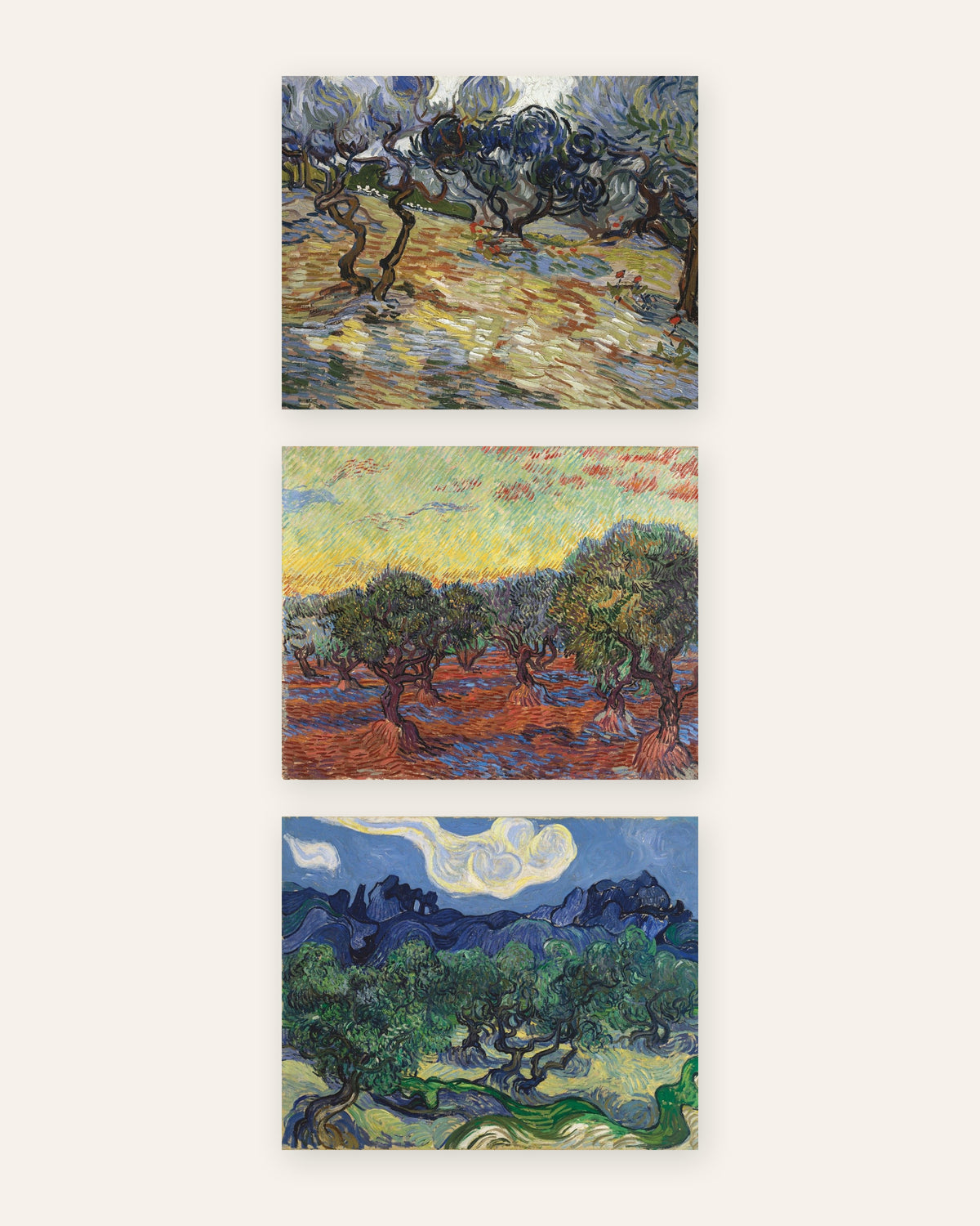 Van Gogh plakater med oliventræer, sæt med 3: olivenlundene i Saint-Rémy, uden ramme