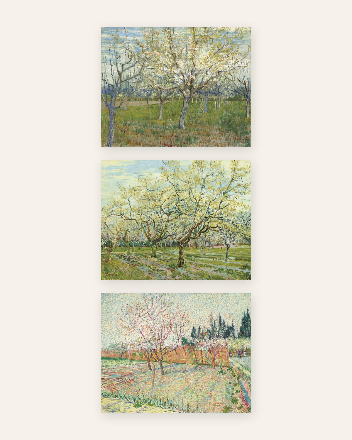 Van Gogh plakater med blomstrende frugthaver, sæt med 3: lyserød, hvid og med cypresser, uden ramme