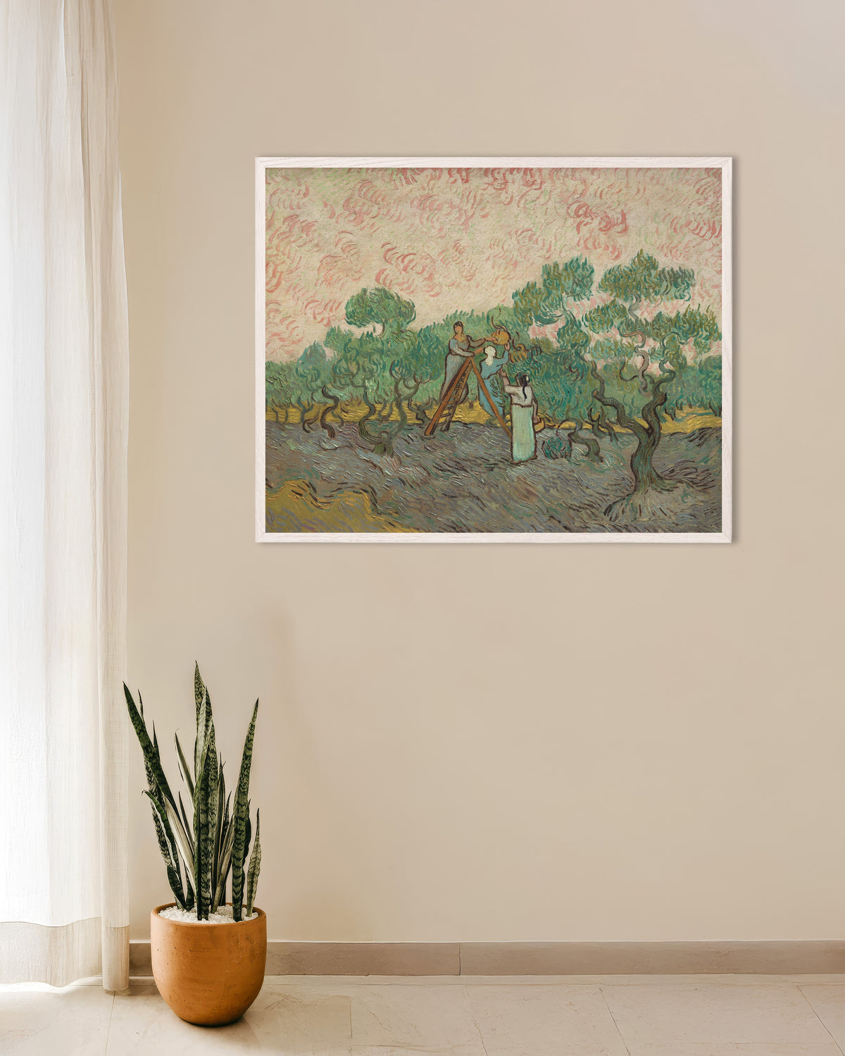 Poster af Kvinder plukker oliven (1889) af Vincent van Gogh med hvid træramme