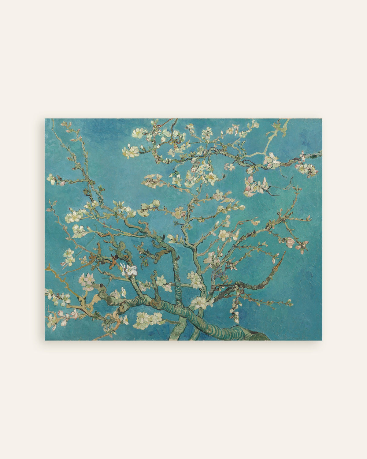 Poster med Mandelblomstring (1890) af Vincent van Gogh, miniature