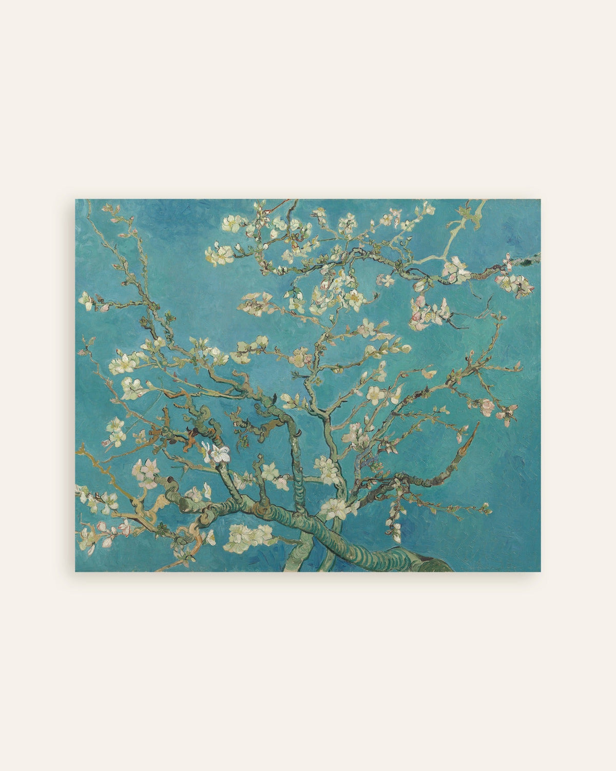 Poster med Mandelblomstring (1890) af Vincent van Gogh, miniature