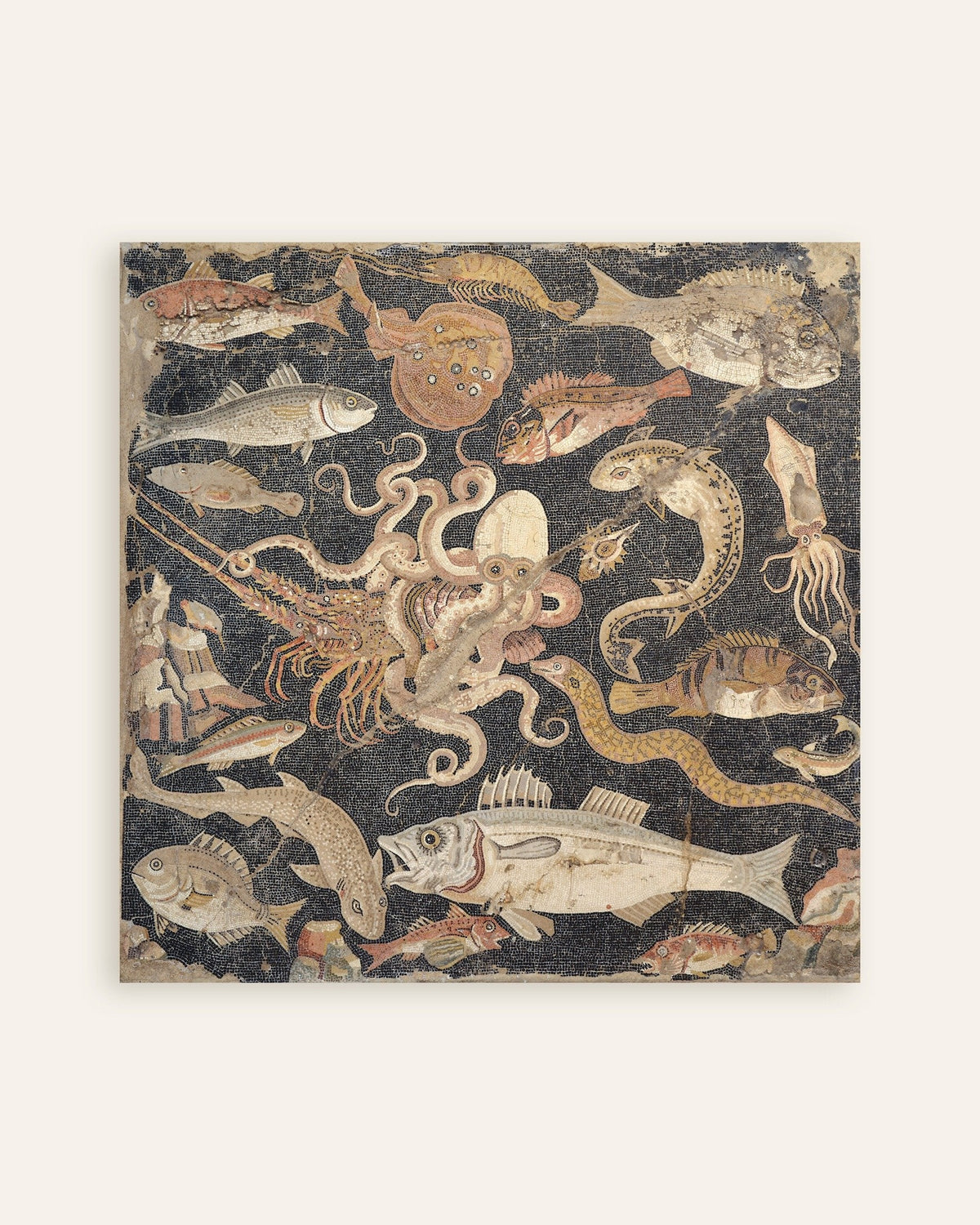 Plakat med fiskemosaikken fra Pompeji, romersk havliv