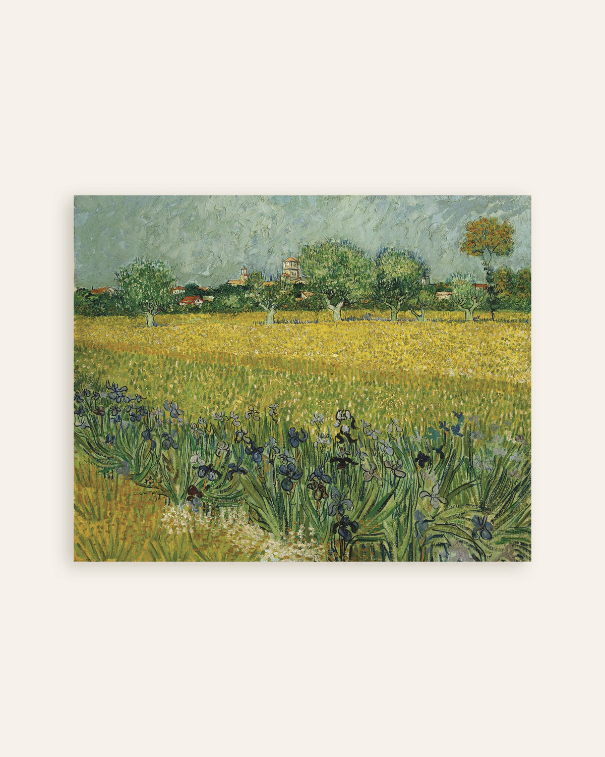 Poster med Mark med irisblomster nær Arles (1888) af Vincent van Gogh, miniature