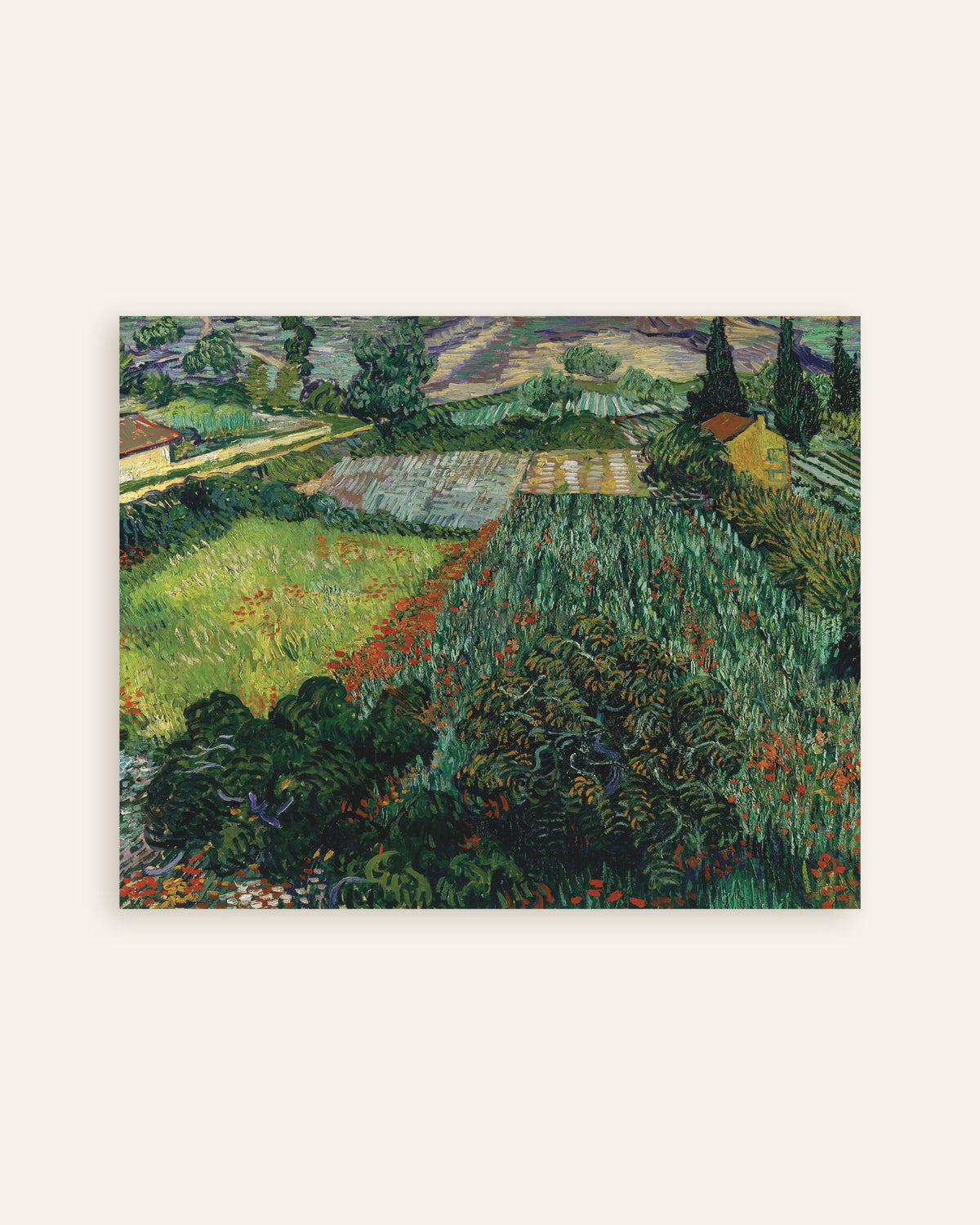 Poster med Valmuefelt (1889) af Vincent van Gogh, miniature