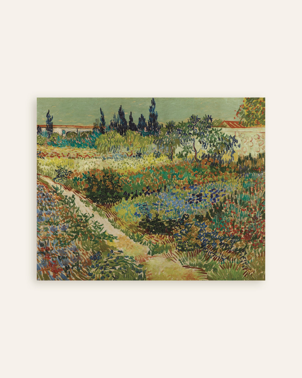 Poster med Have i Arles (1888) af Vincent van Gogh, miniature