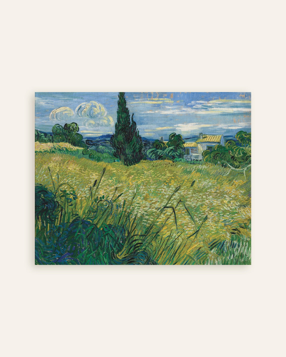 Poster med Grøn hvedemark med cypres (1889) af Vincent van Gogh, miniature