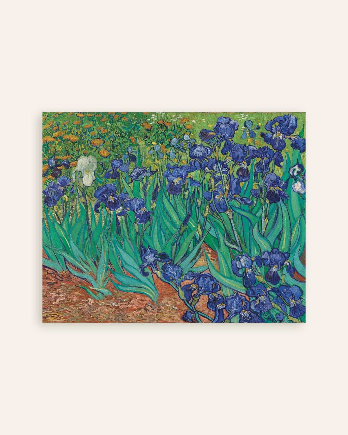 Poster med Iris (1889) af Vincent van Gogh, miniature