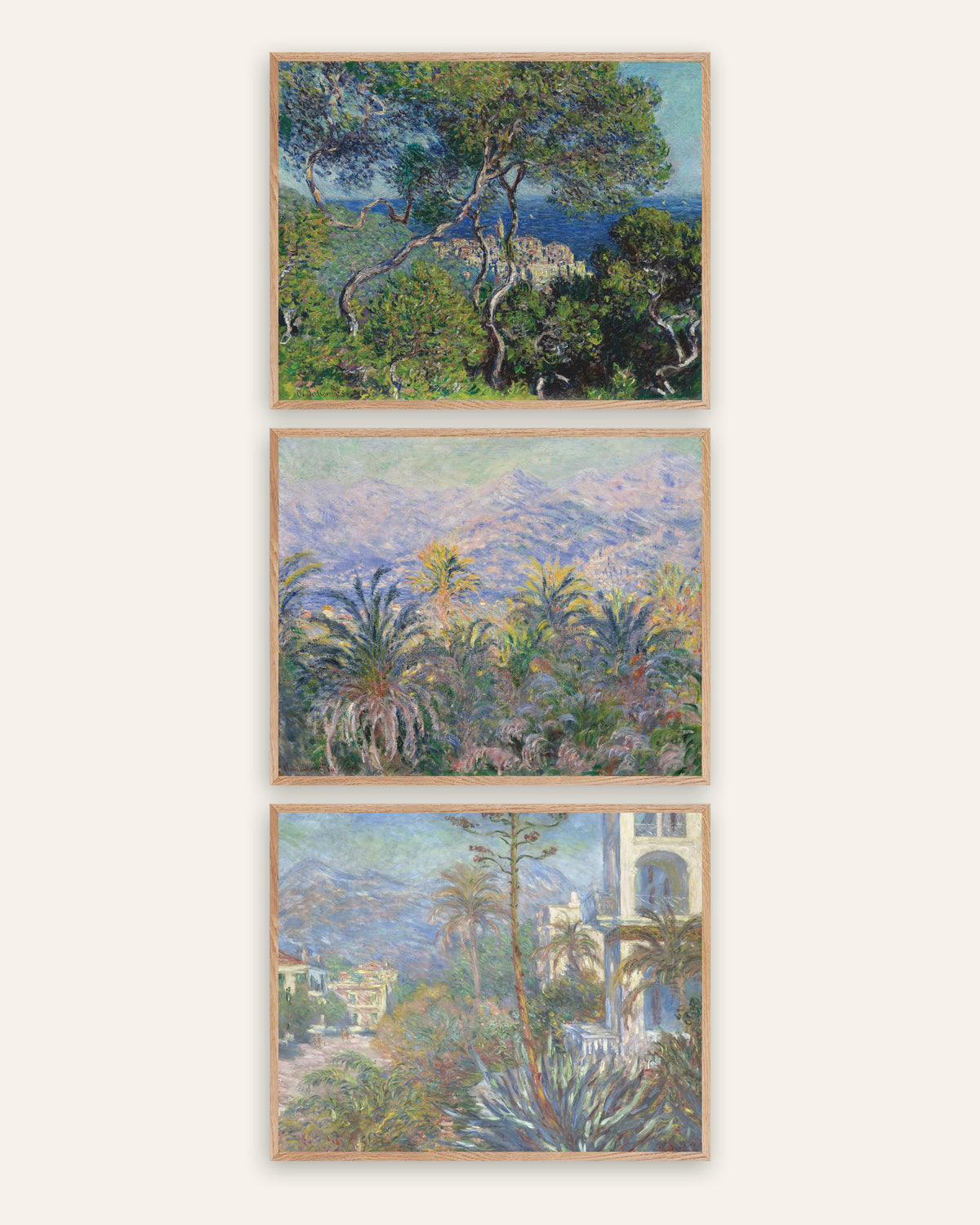Monet Bordighera plakater, sæt med 3: pinjer, palmer og villaer, i rammer af natureg