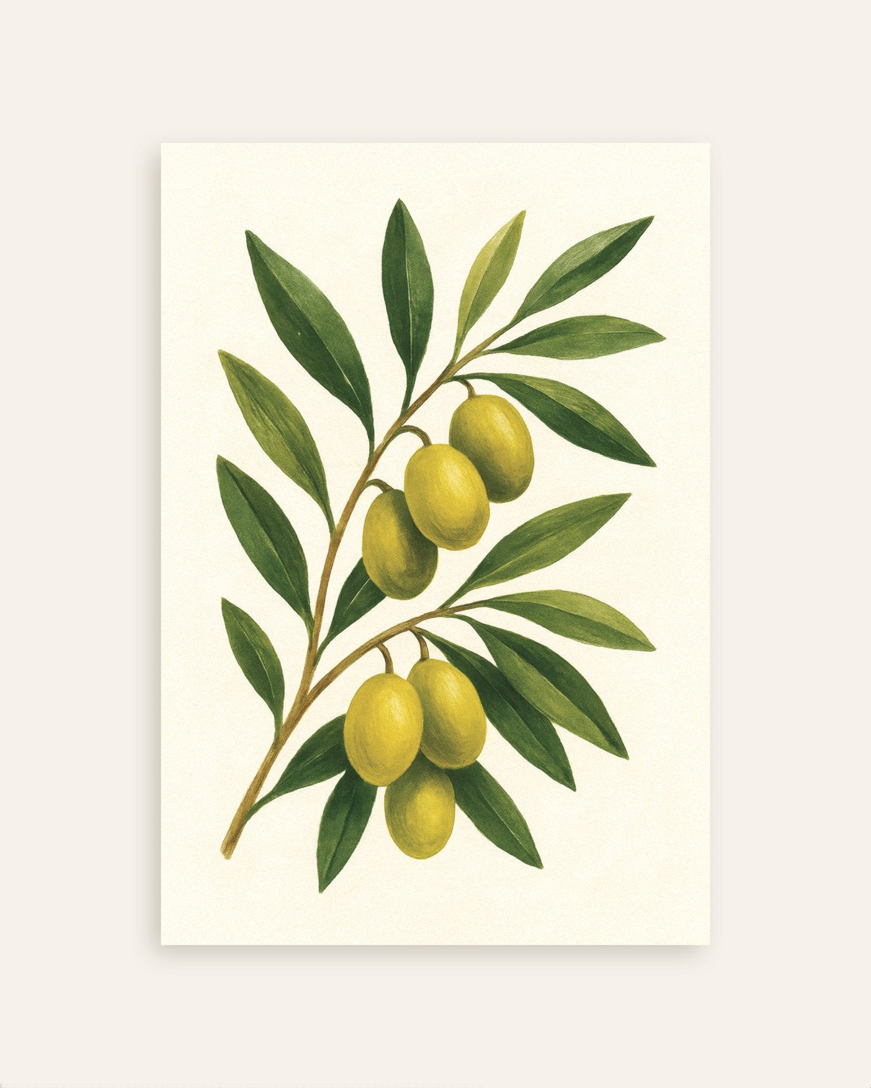 Poster of Olive branch wall art print, thumbnail