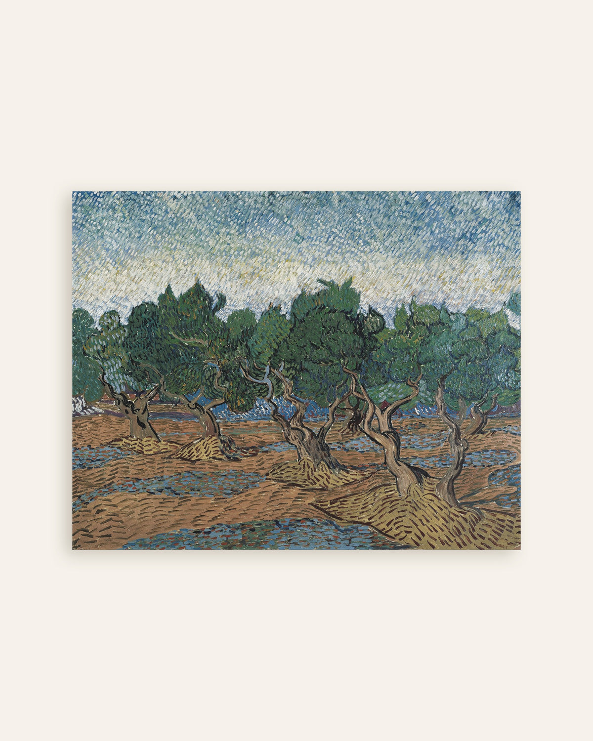Poster med Olivlund (1889) af Vincent van Gogh, miniature