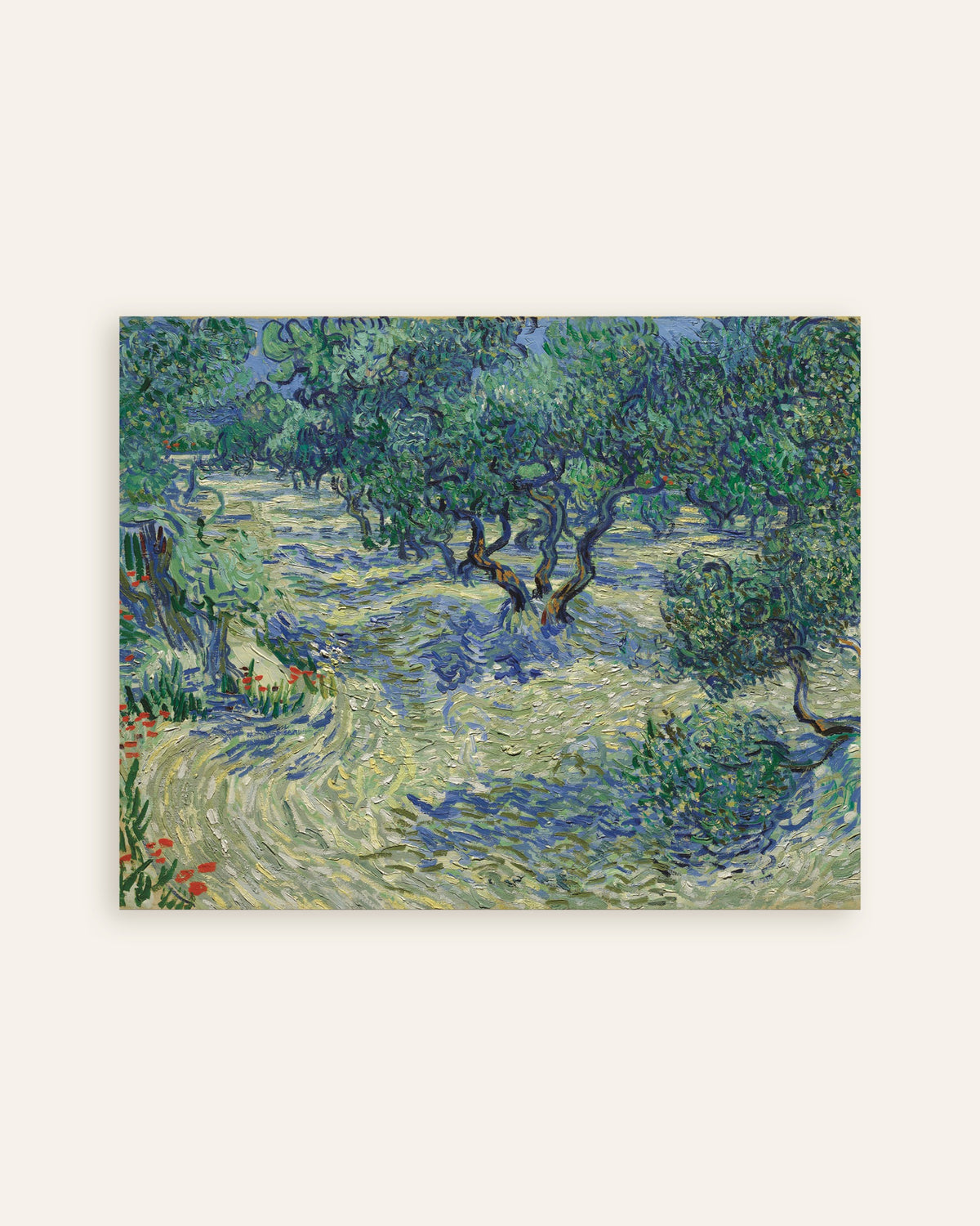 Poster med Olivenlund (1889) af Vincent van Gogh, miniature
