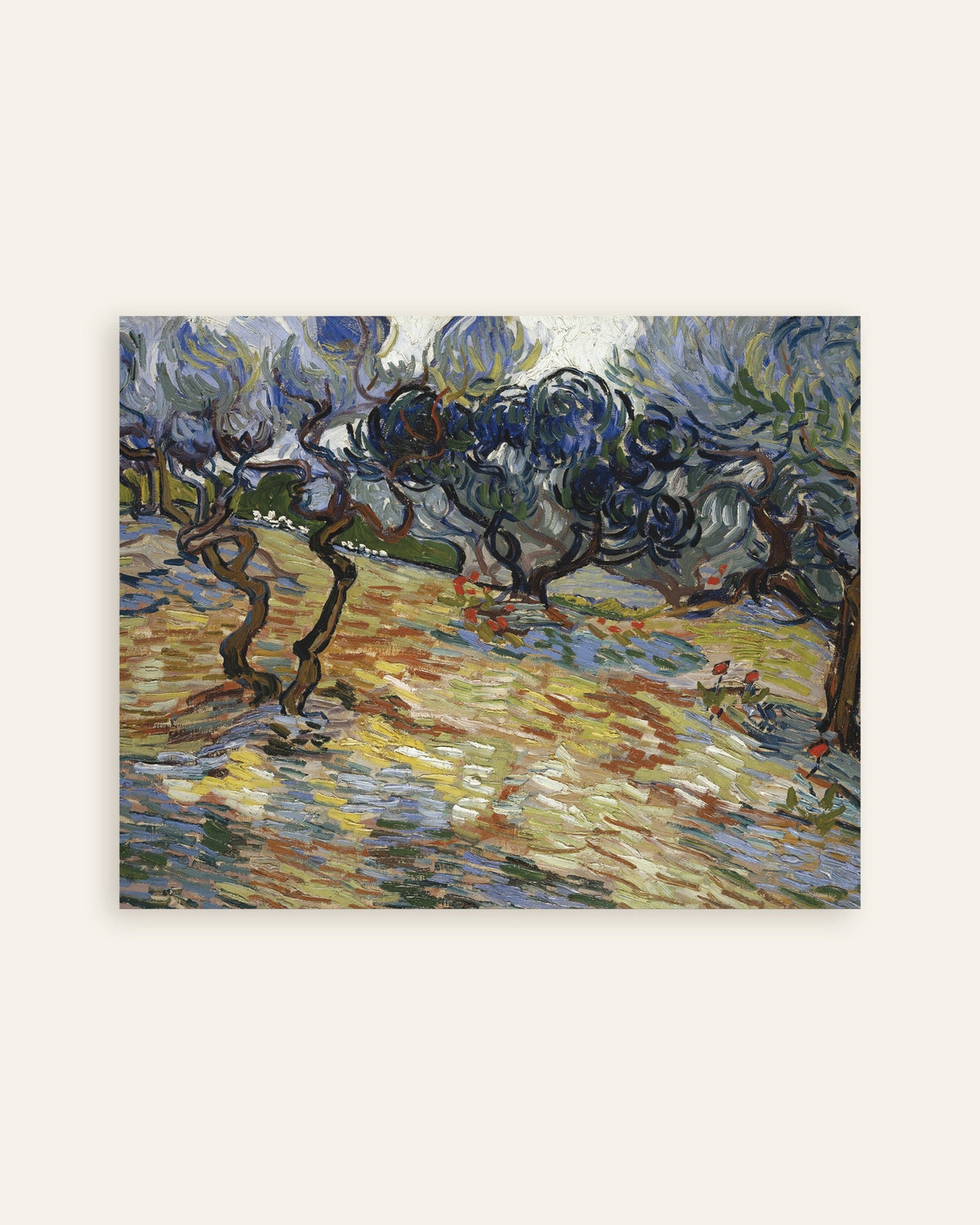 Poster med Oliventræer (1889) af Vincent van Gogh, miniature