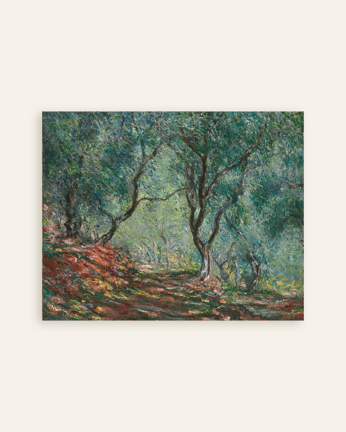 Plakat Olivenlund i Moreno-haven (1884) af Claude Monet, miniature