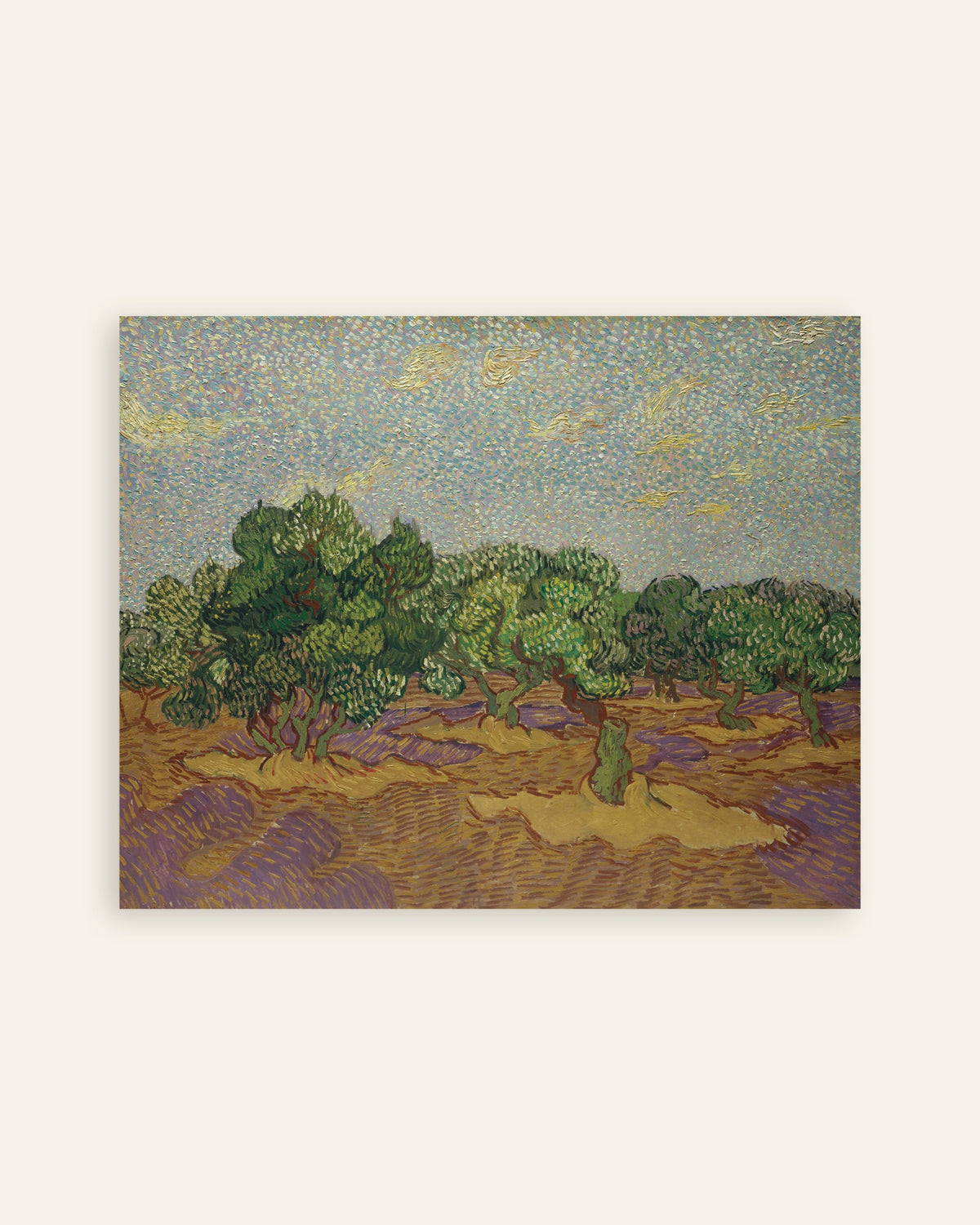 Poster af Oliventræer under en bleg himmel (1889) af Vincent van Gogh, miniature
