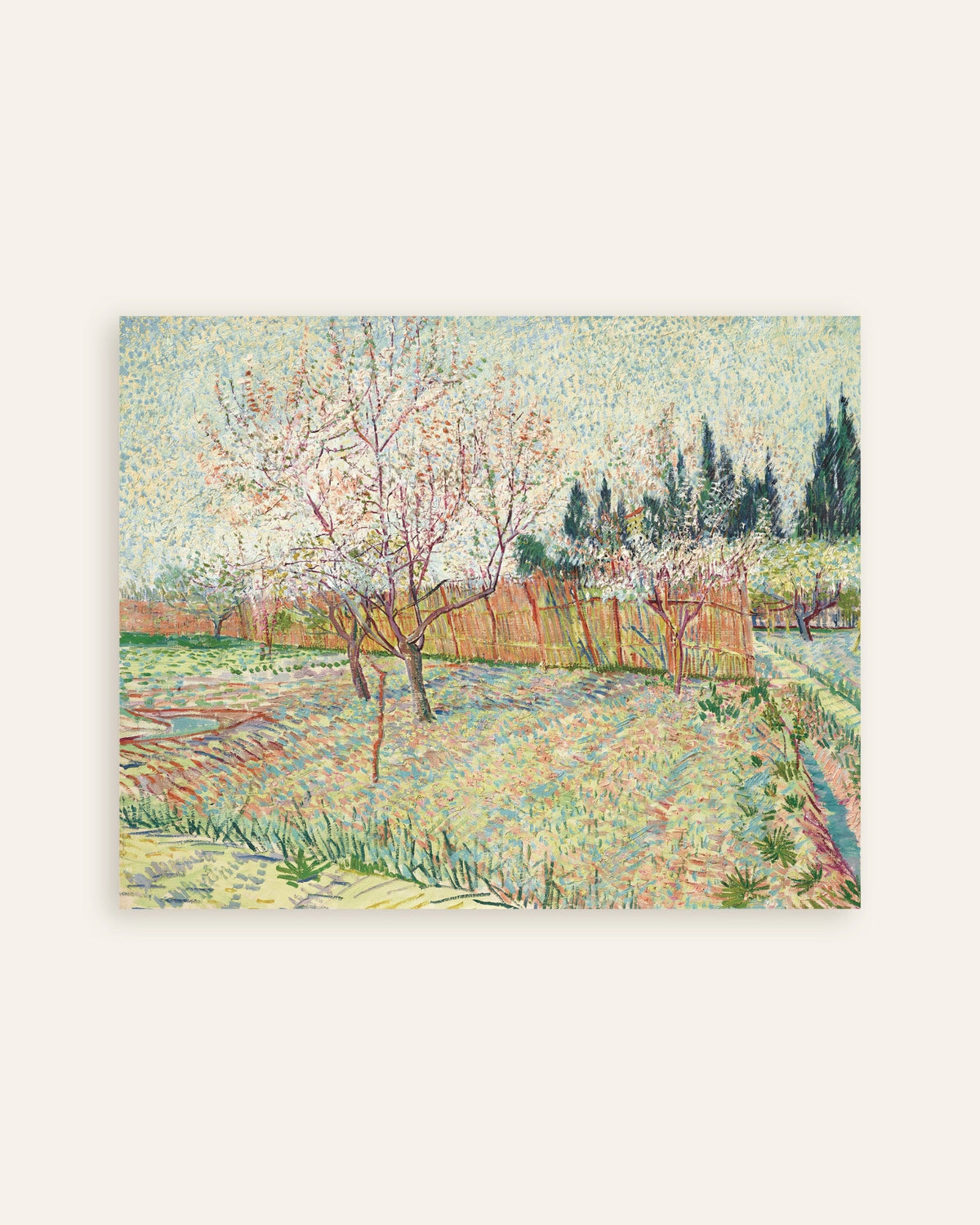 Poster med Frugtplantage omgivet af cypresser (1888) af Vincent van Gogh, miniature