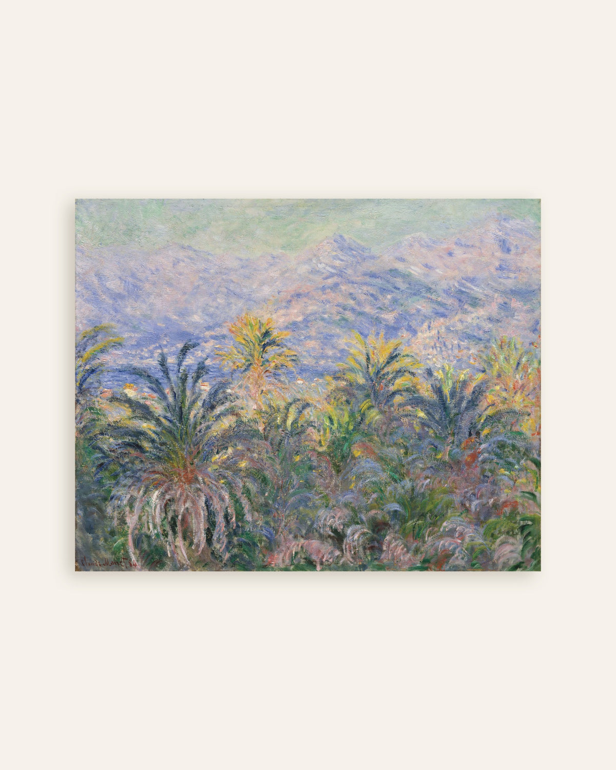 Plakat Palmer i Bordighera (1884) af Claude Monet, miniature