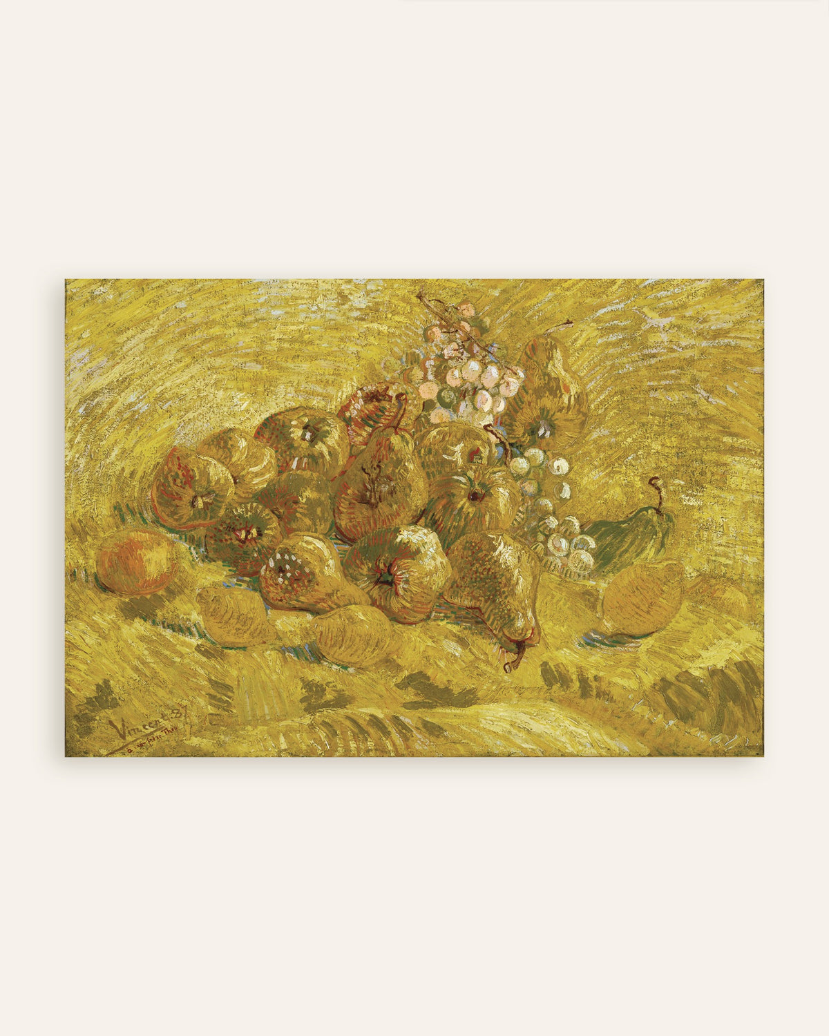 Poster af Kvæder, citroner, pærer og druer (1887) af Vincent van Gogh, miniature