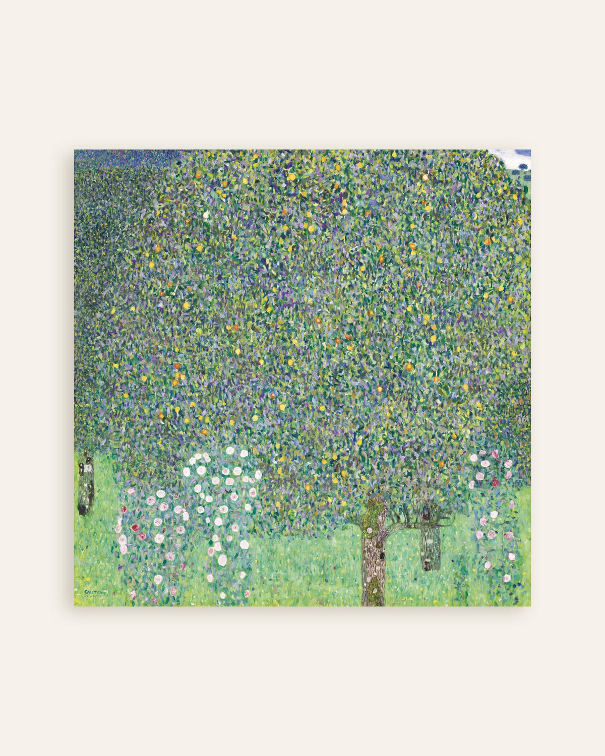 Plakat Rosenbuske under træerne (1905) af Gustav Klimt, miniature