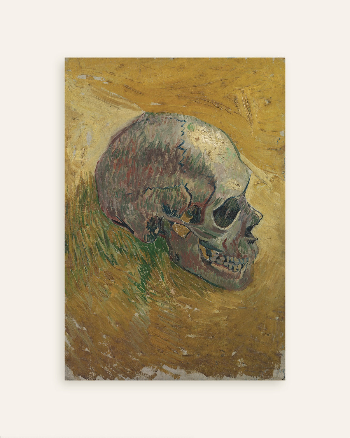 Poster med Kranie (1887) af Vincent van Gogh, miniature