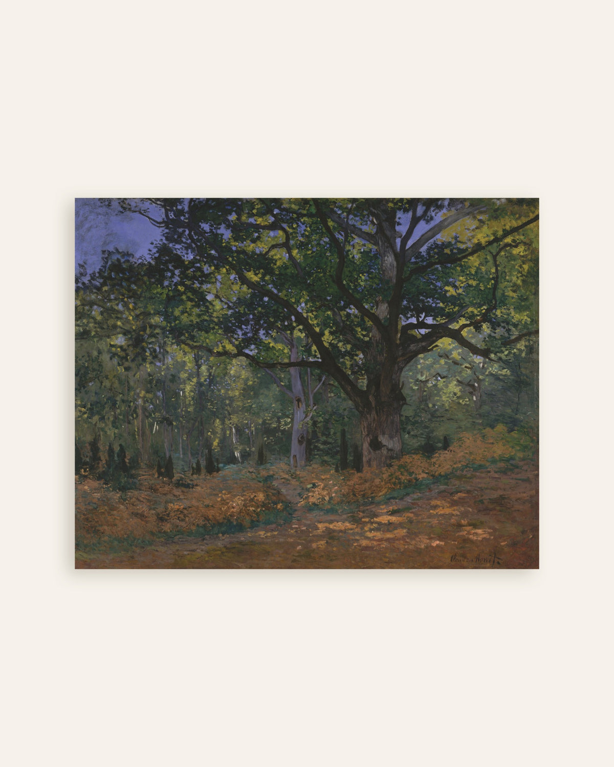 Plakat Bodmer-egen, Fontainebleau-skoven (1865) af Claude Monet, miniature