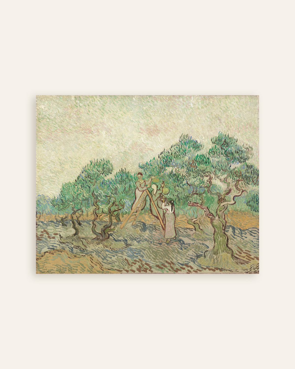 Poster med Olivengården (1889) af Vincent van Gogh, miniature