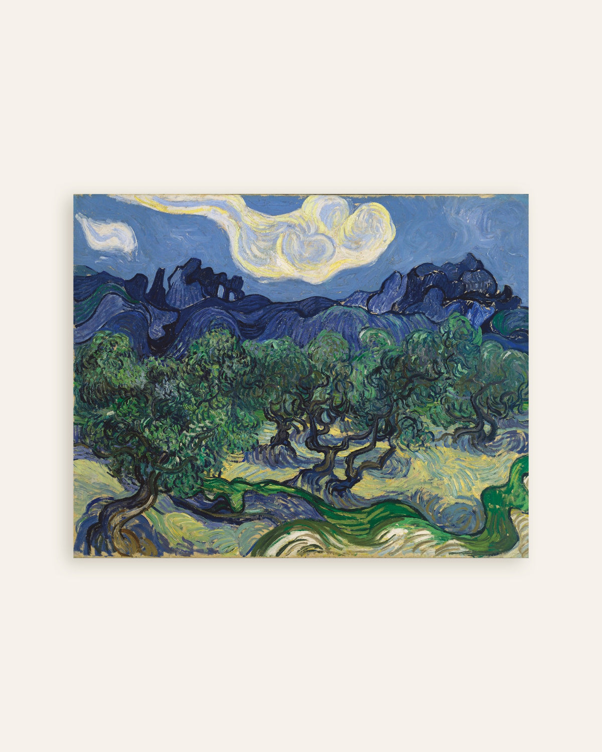 Poster med Oliventræerne (1889) af Vincent van Gogh, miniature
