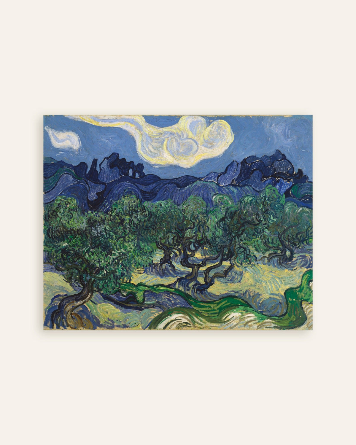 Poster med Oliventræerne (1889) af Vincent van Gogh, miniature