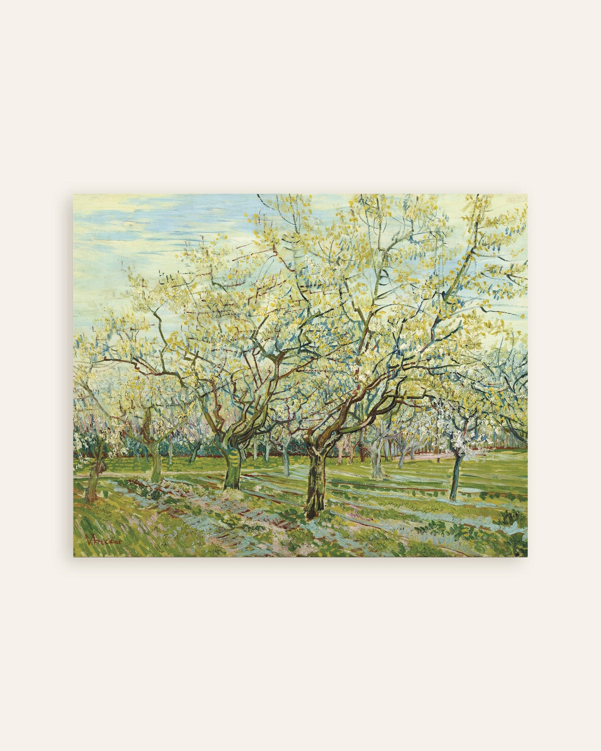 Poster med Den hvide frugthave (1888) af Vincent van Gogh, miniature