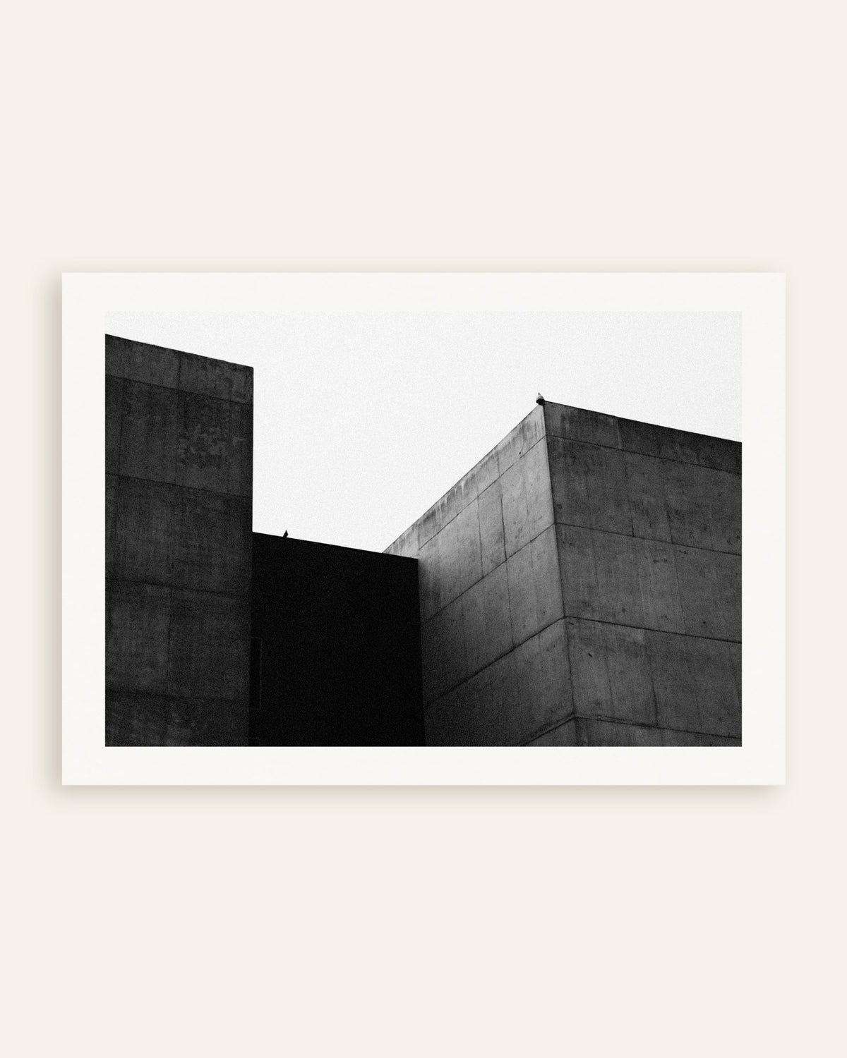 Plakat »To betonblokke og en fugl«, miniature