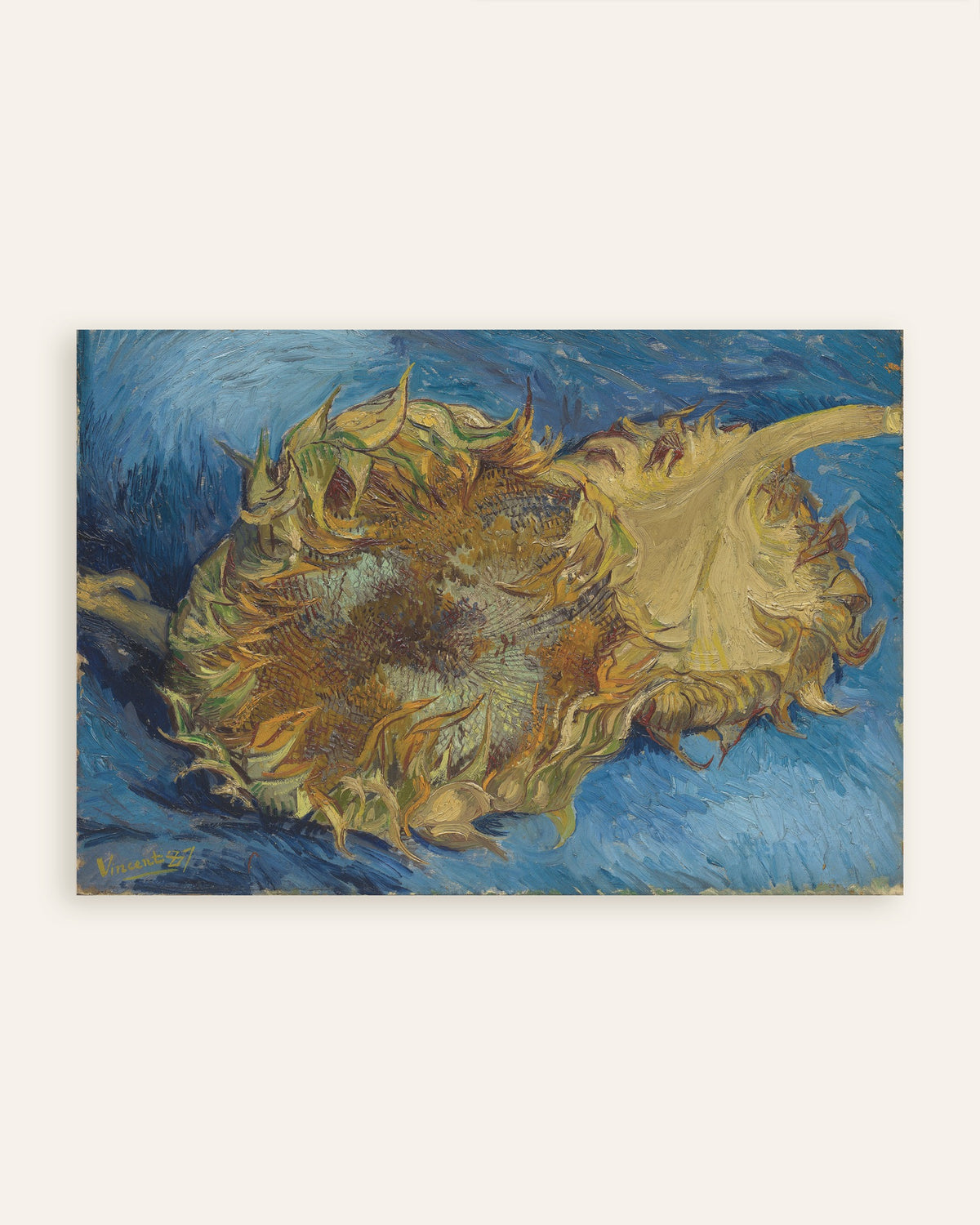 Poster med To afskårne solsikker (1887) af Vincent van Gogh, miniaturebillede