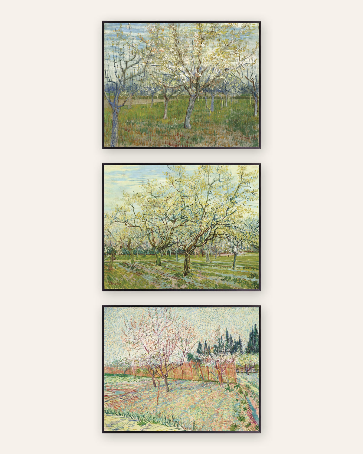 Van Gogh plakater med blomstrende frugthaver, sæt med 3: lyserød, hvid og med cypresser, i sorte metalrammer