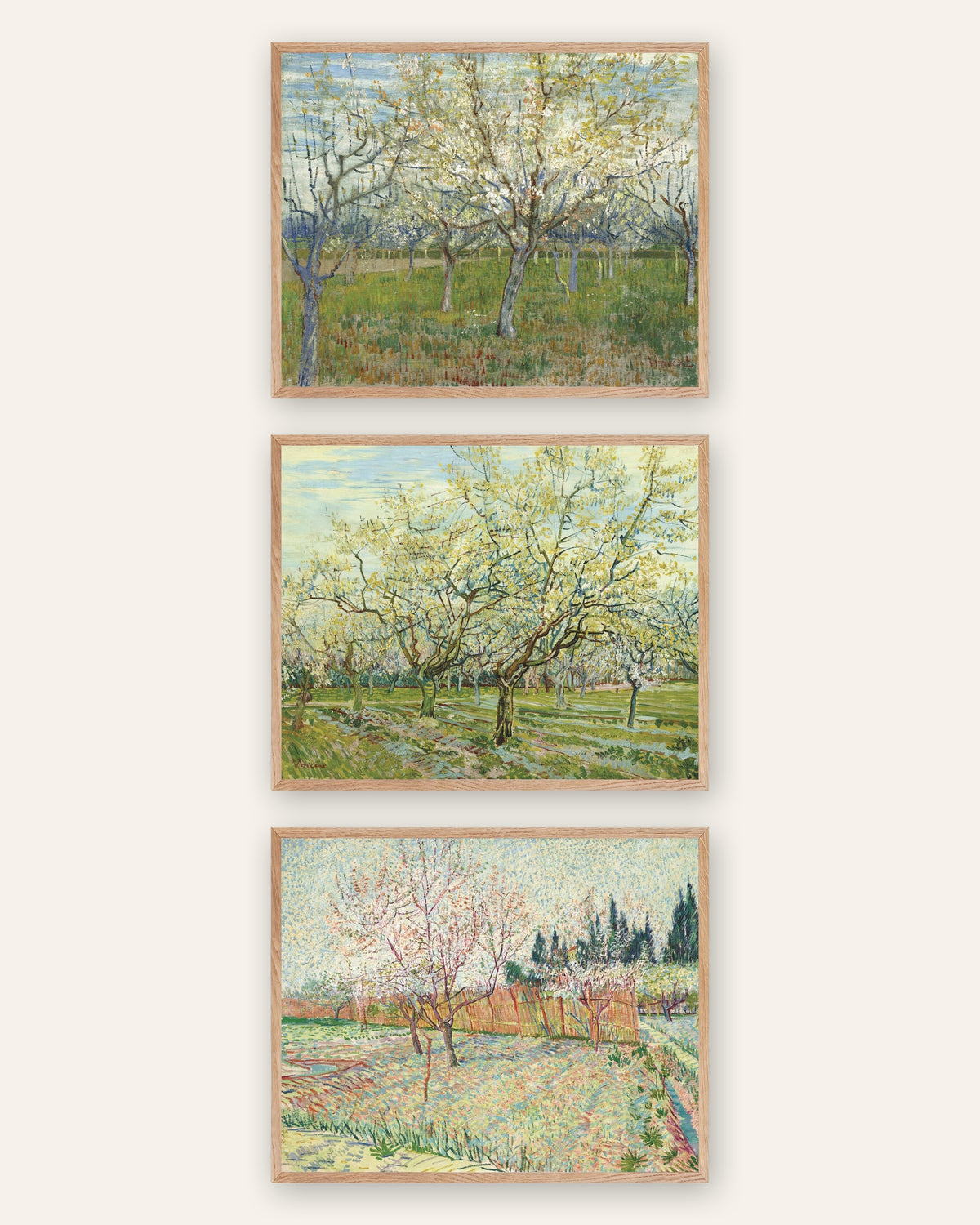 Van Gogh plakater med blomstrende frugthaver, sæt med 3: lyserød, hvid og med cypresser, i rammer af natureg