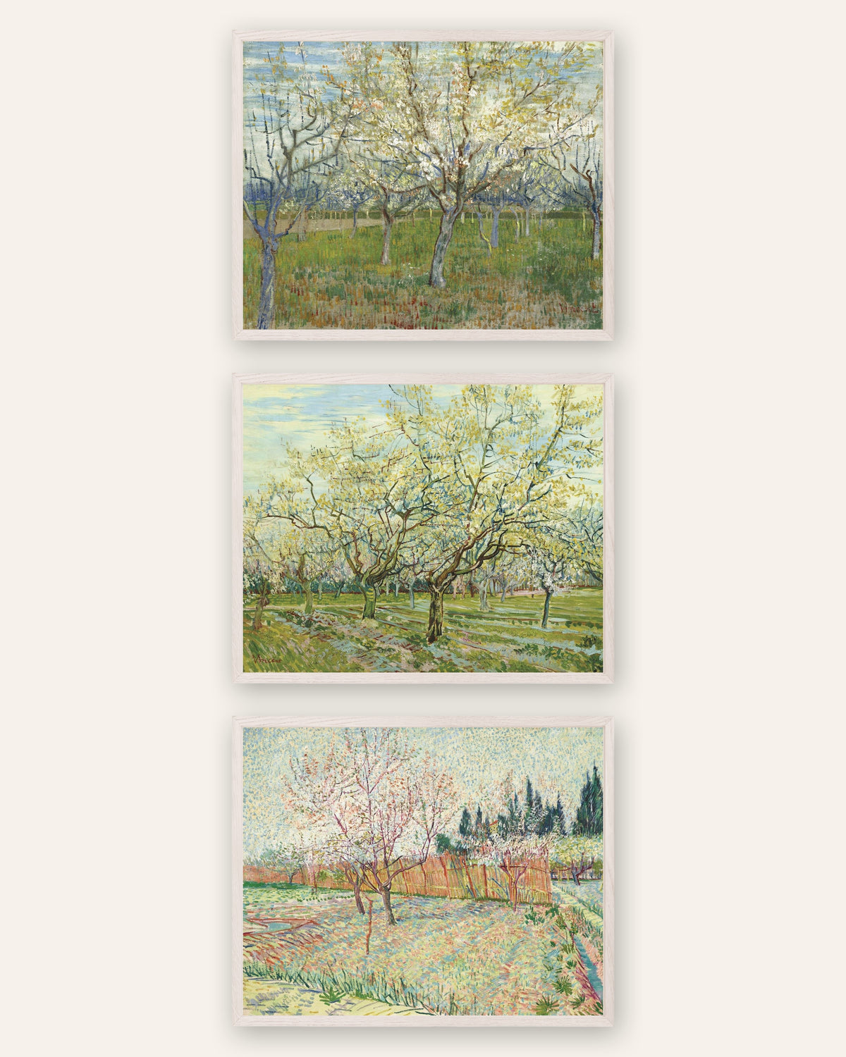 Van Gogh plakater med blomstrende frugthaver, sæt med 3: lyserød, hvid og med cypresser, i hvide egetræsrammer