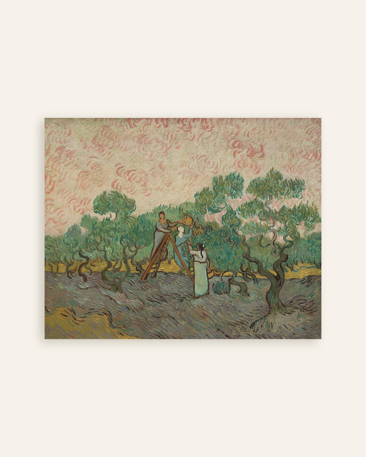 Poster af Kvinder plukker oliven (1889) af Vincent van Gogh, miniature