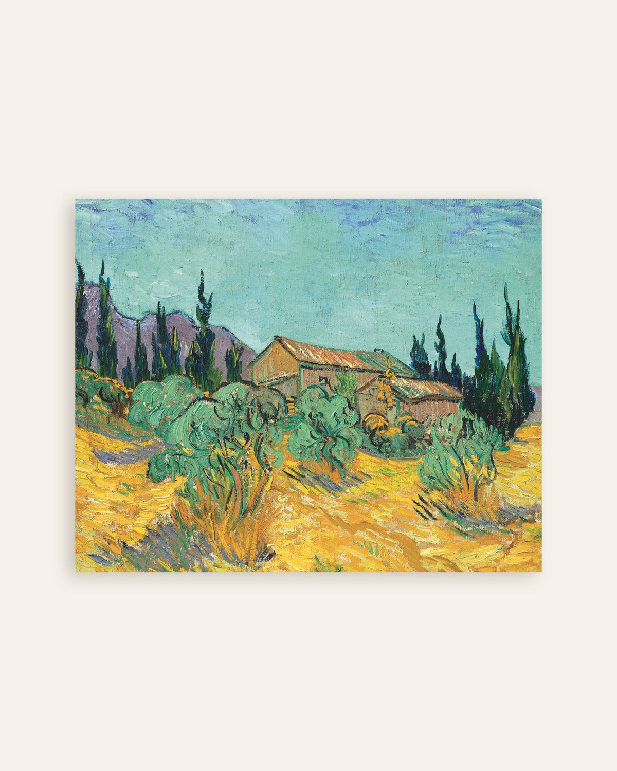 Poster med Træhytter blandt oliventræer og cypresser (1889) af Vincent van Gogh, miniature